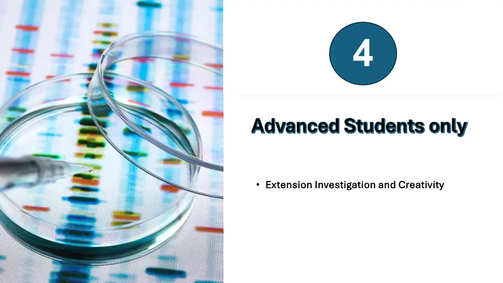 slide18