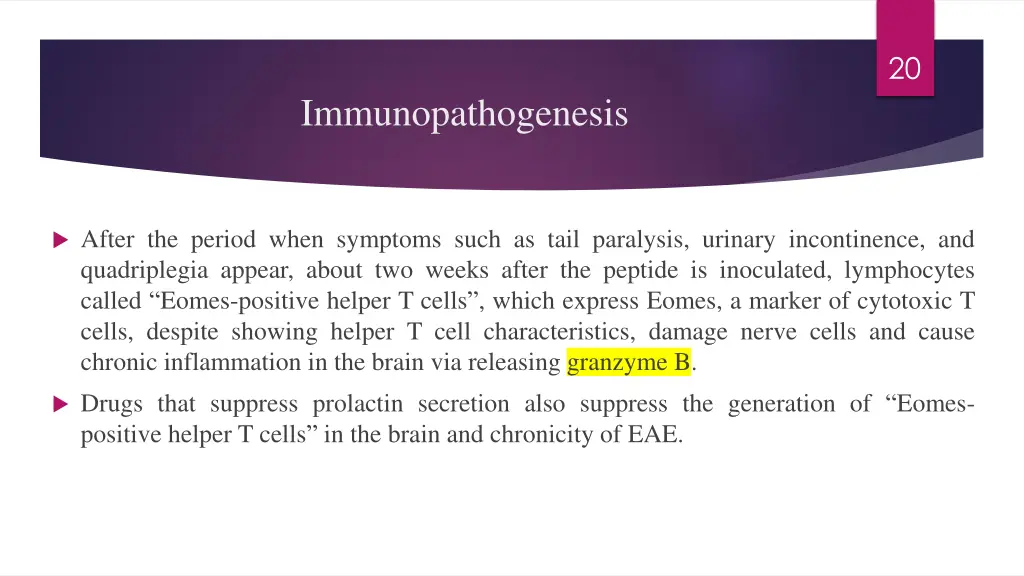 slide20