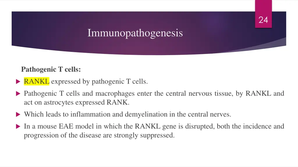 slide24