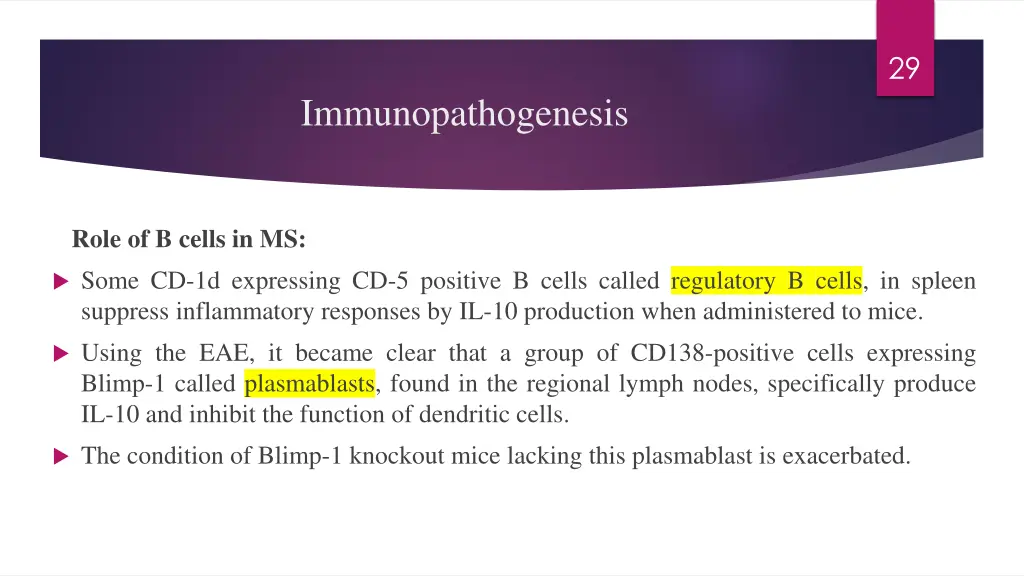 slide29