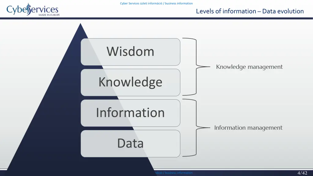 cyber services zleti inform ci business 2