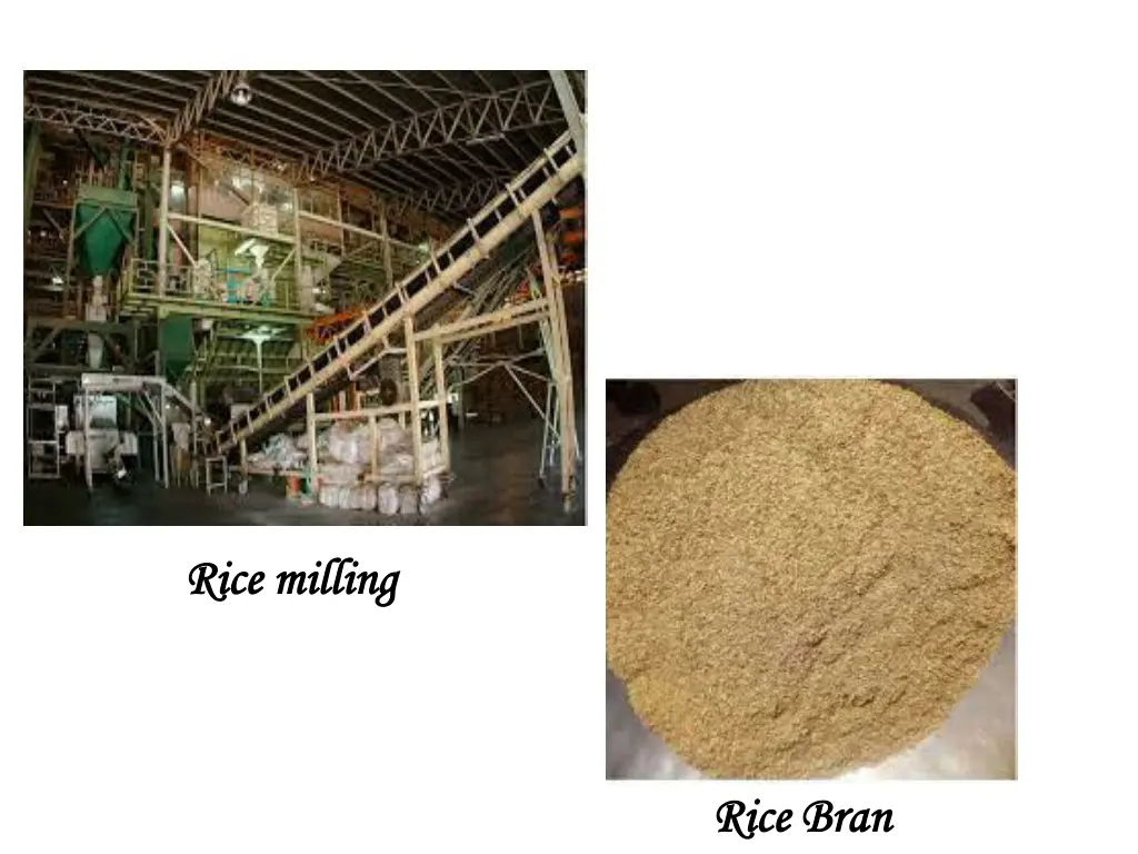 rice milling rice milling