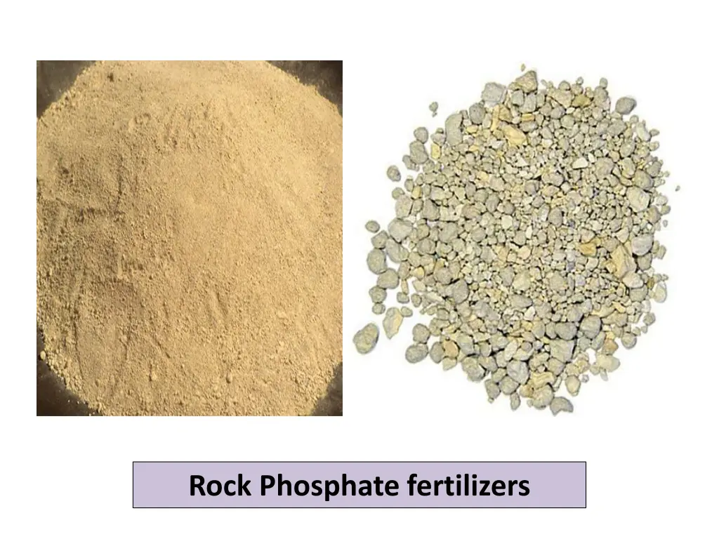 rock phosphate fertilizers