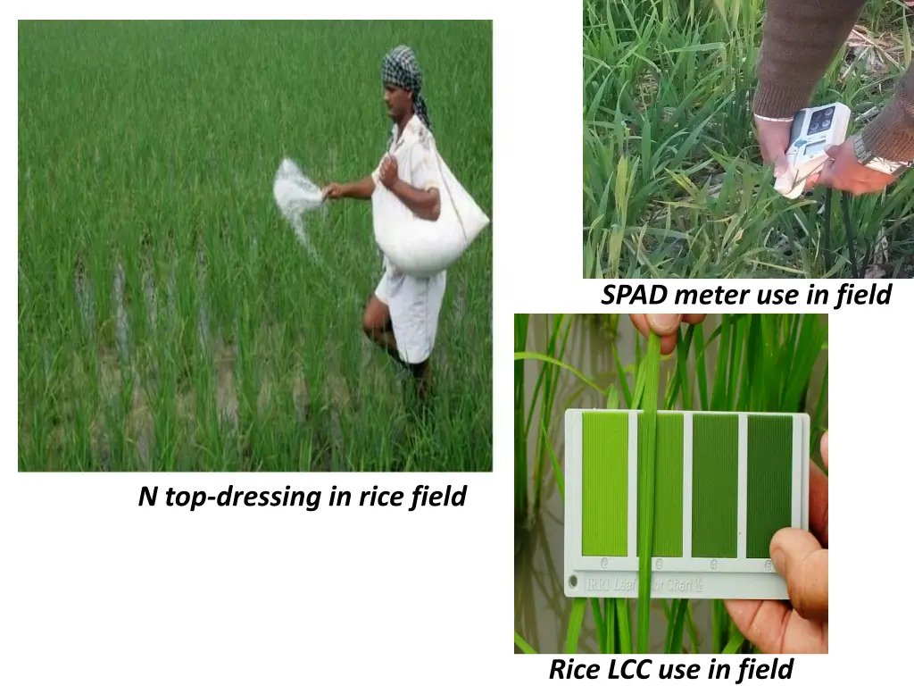 spad meter use in field