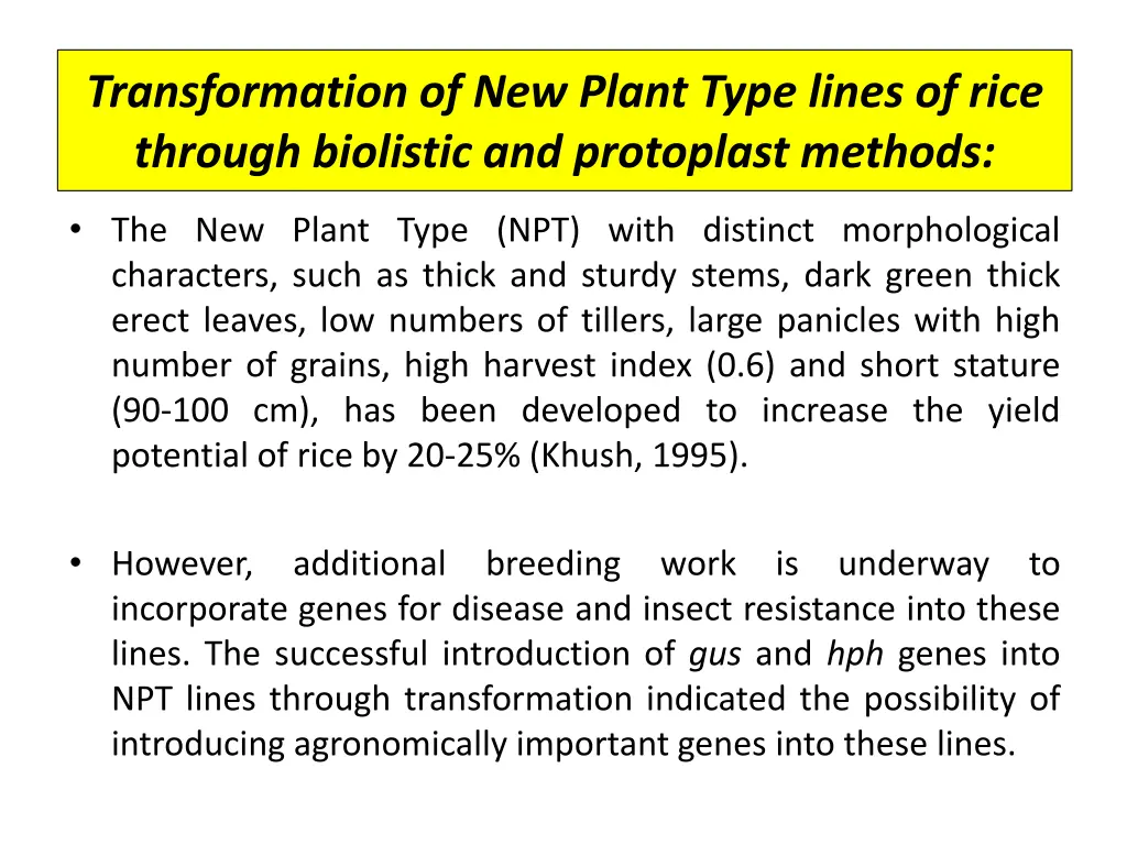 transformation of new plant type lines of rice