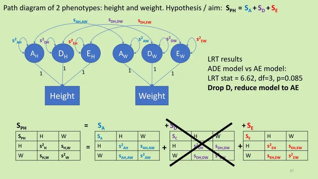 path diagram of 2 phenotypes height and weight 1