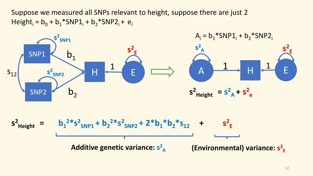 suppose we measured all snps relevant to height