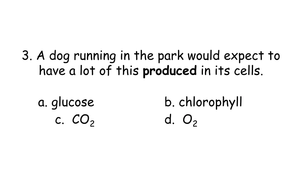 3 a dog running in the park would expect to have