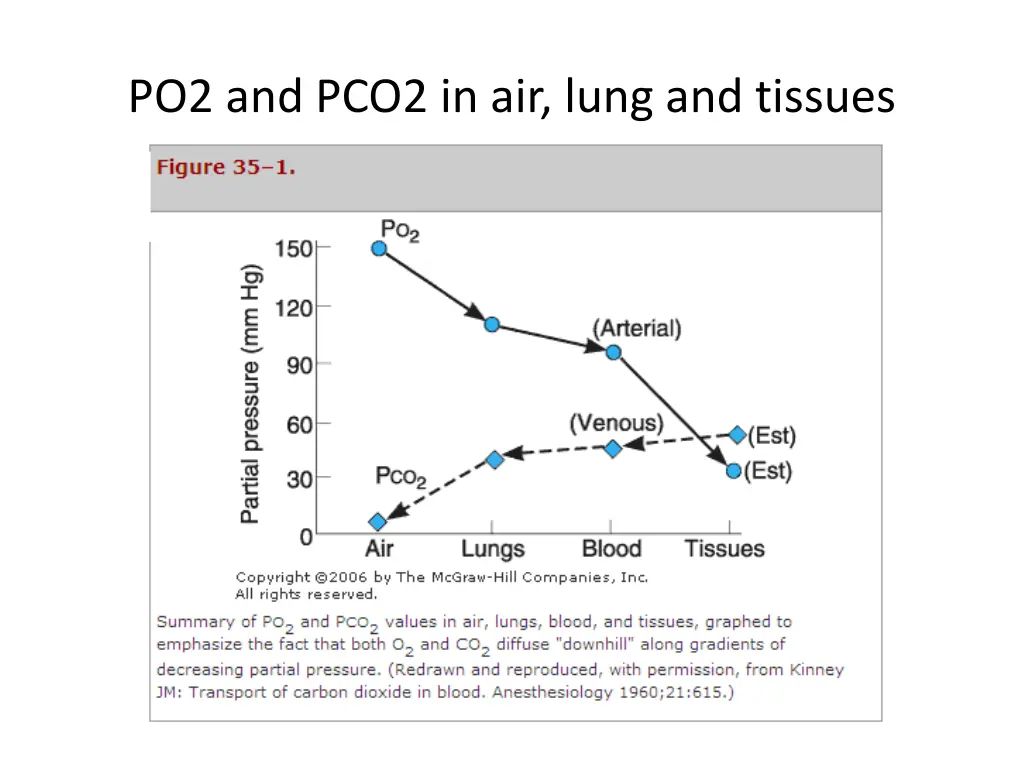 po2 and pco2 in air lung and tissues