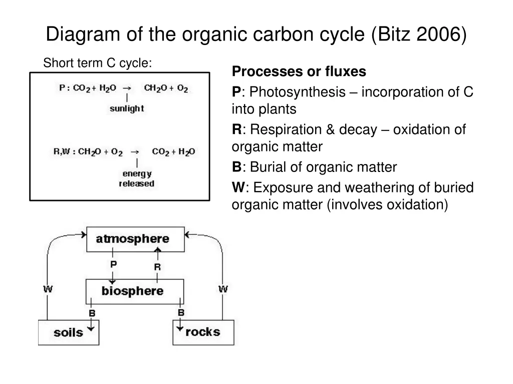 diagram of the organic carbon cycle bitz 2006