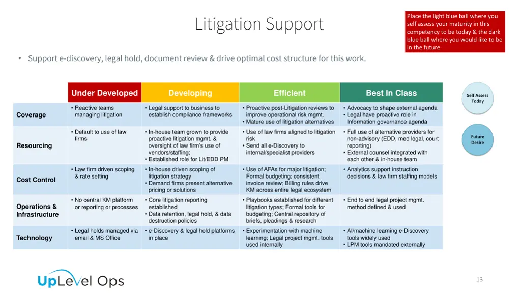 litigation support