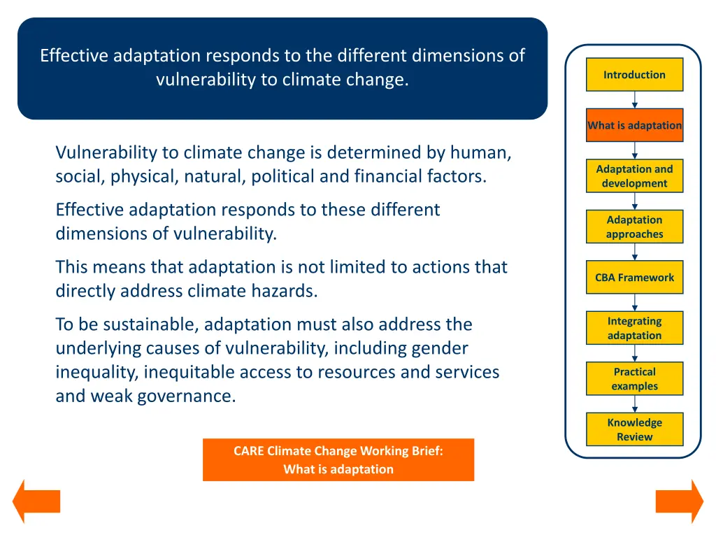 effective adaptation responds to the different