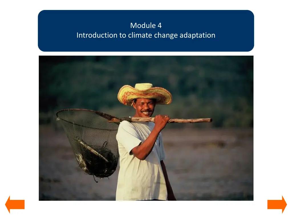 module 4