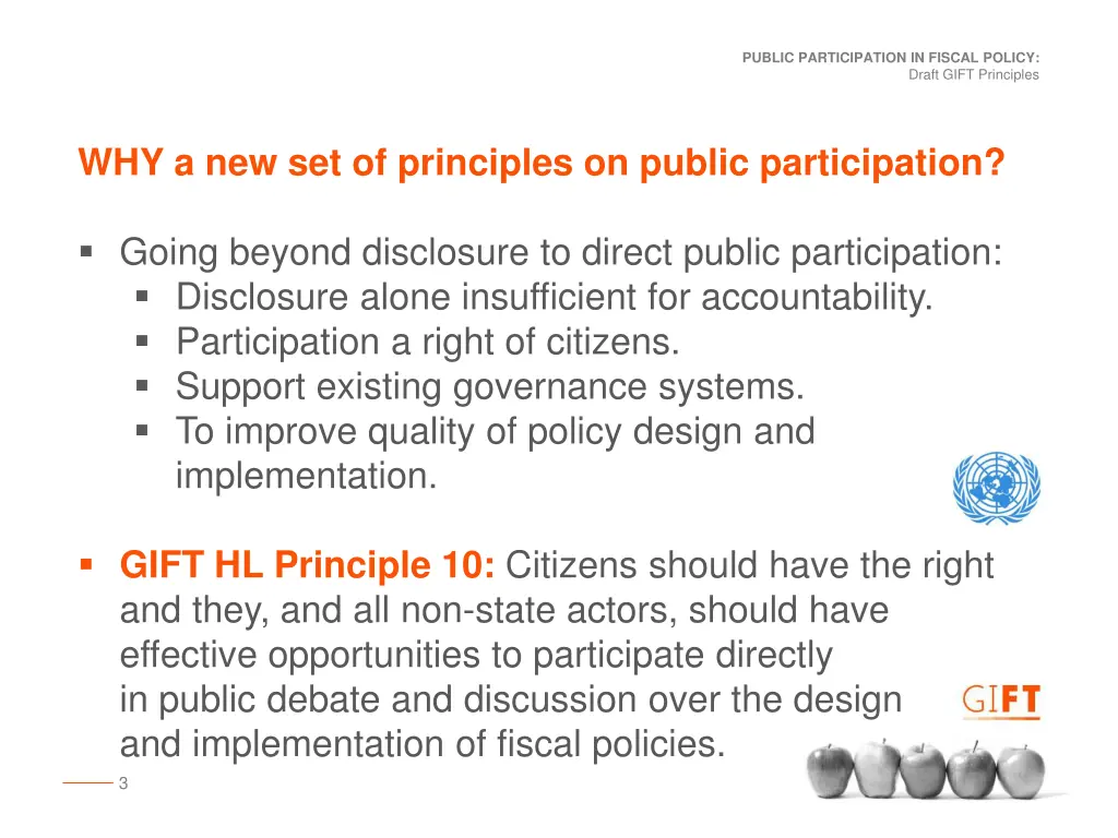 public participation in fiscal policy 1