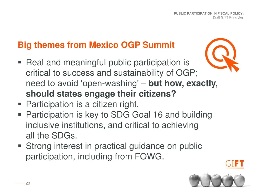 public participation in fiscal policy 18