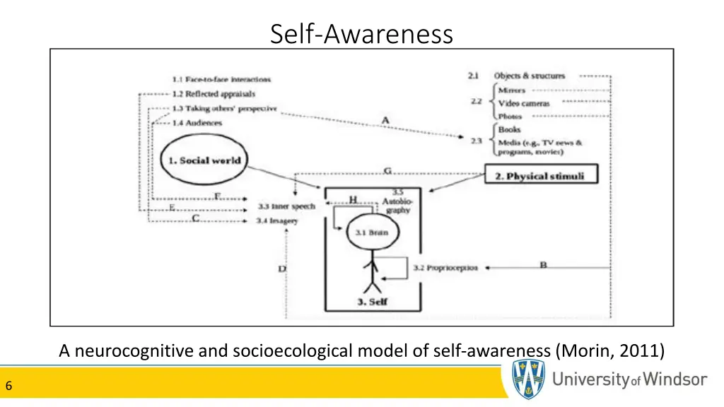self awareness 1