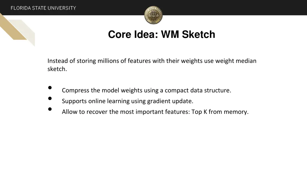 core idea wm sketch