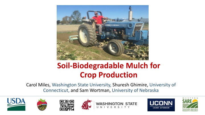 soil biodegradable mulch for crop production