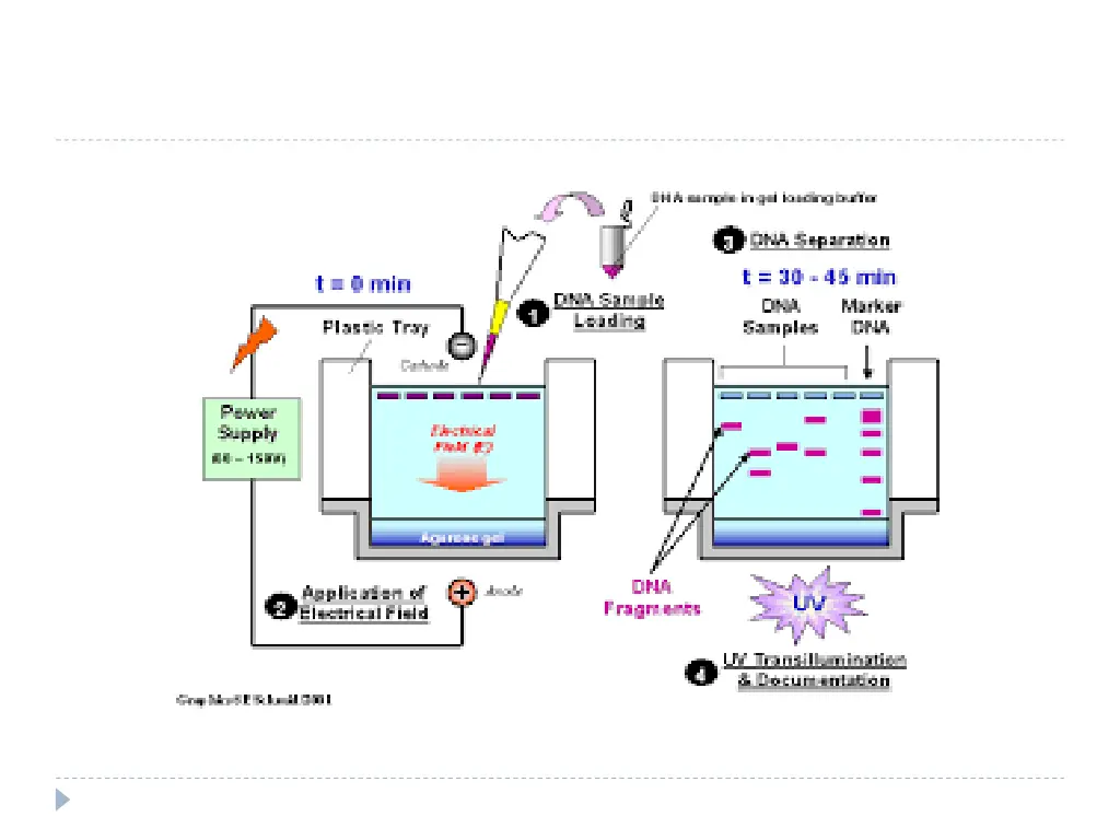 slide13