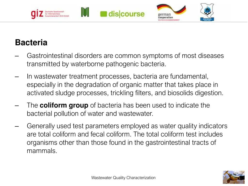 bacteria