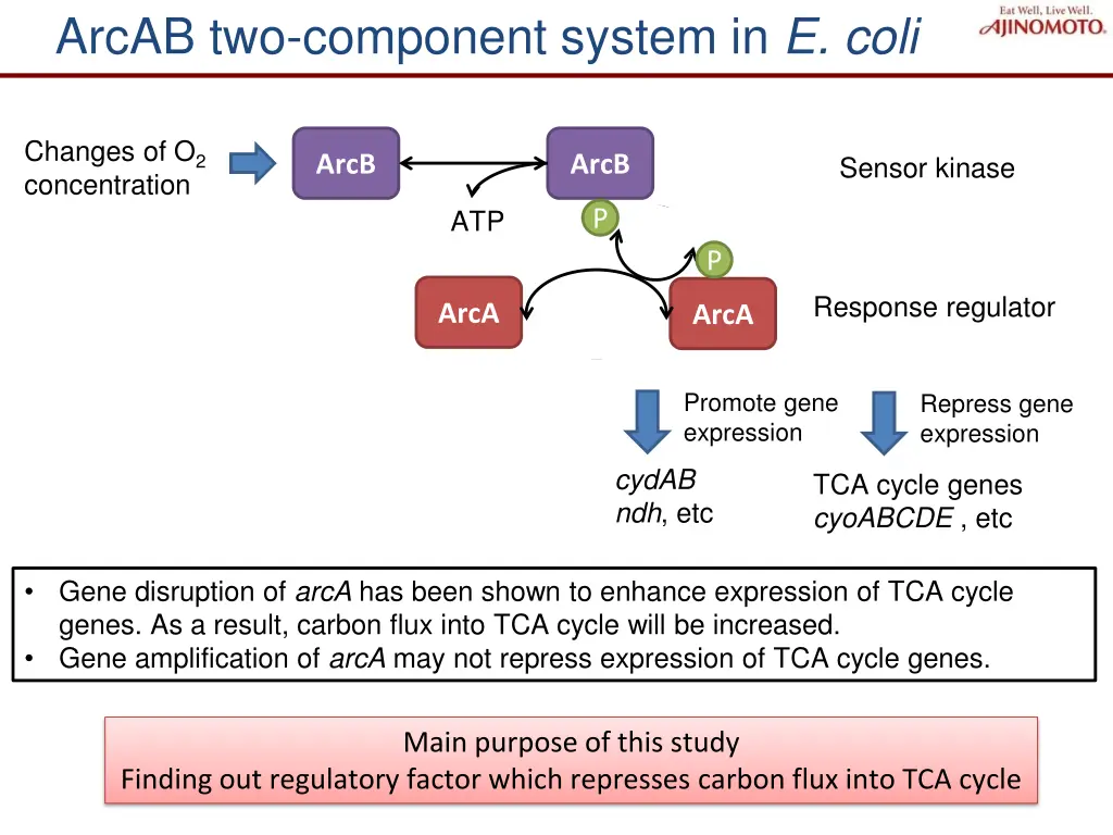 arcab two component system in e coli