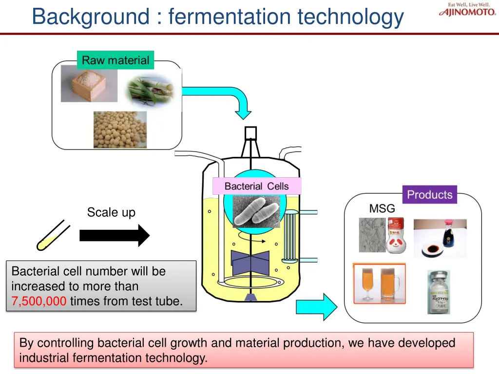 background fermentation technology