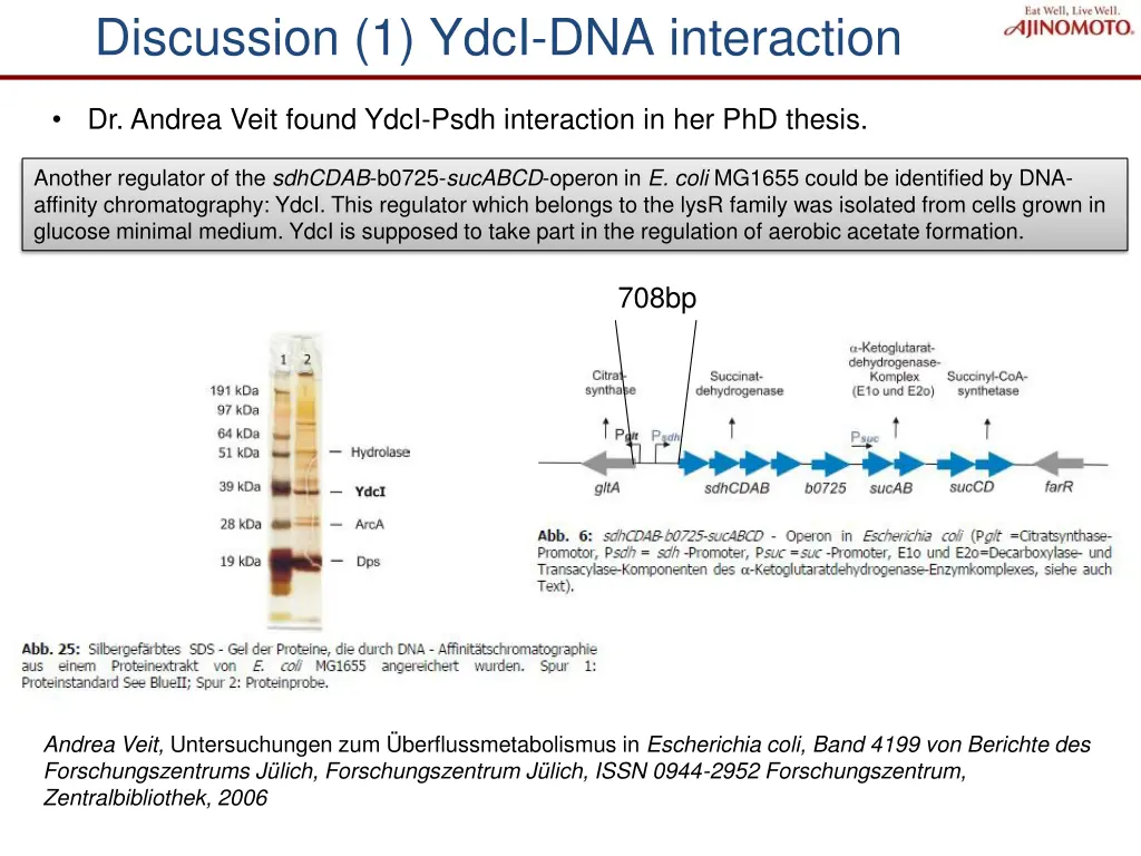 discussion 1 ydci dna interaction
