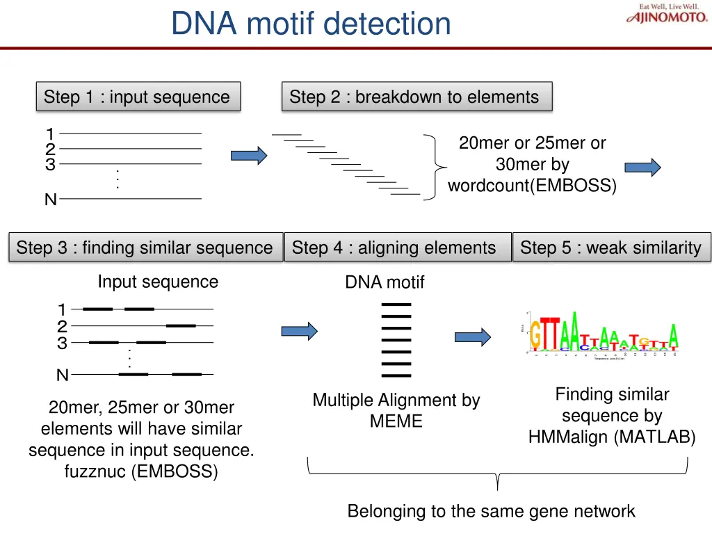dna motif detection