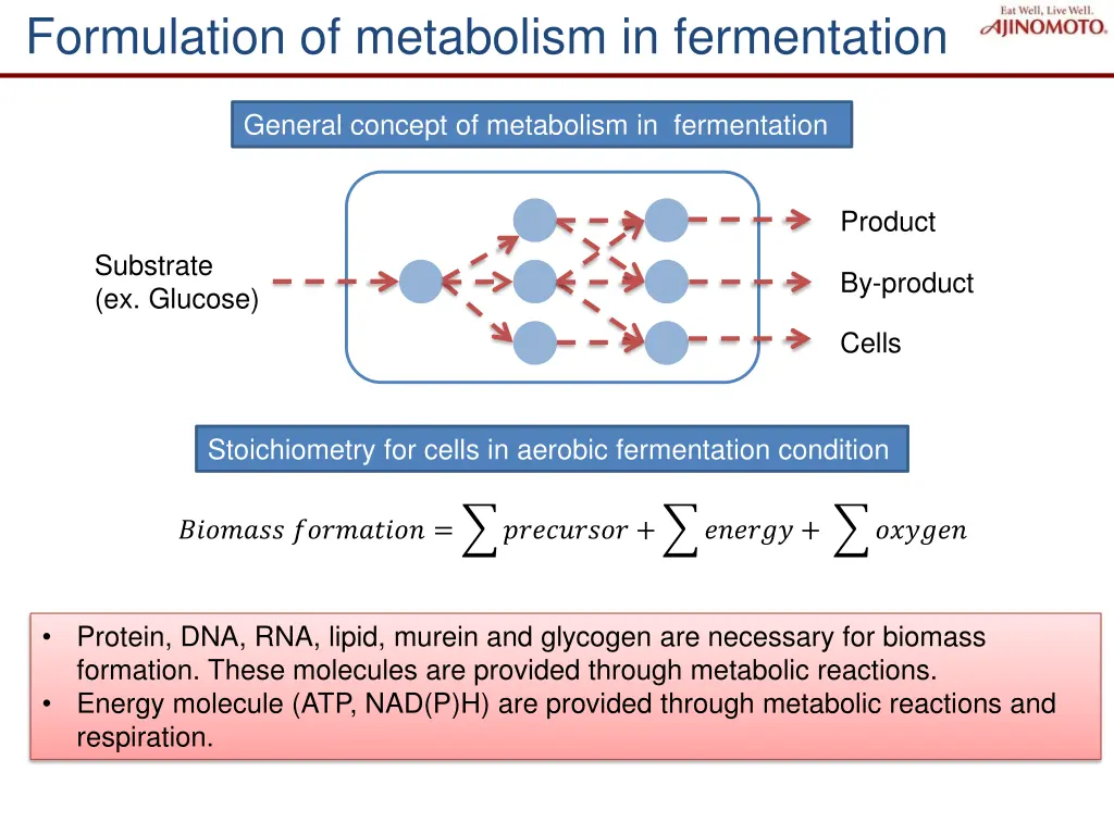 formulation of metabolism in fermentation
