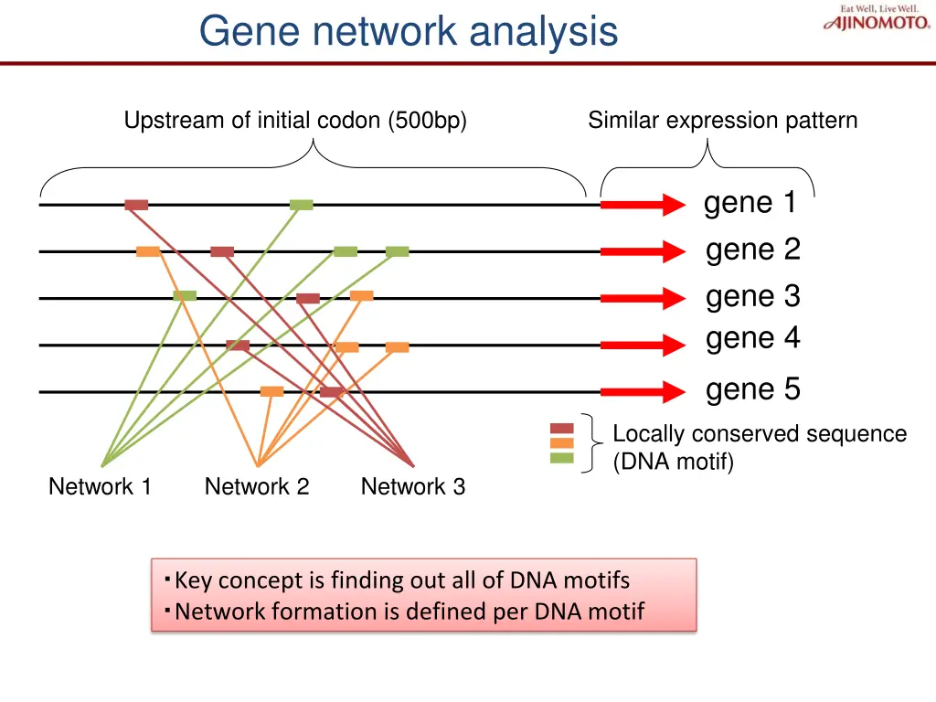 gene network analysis