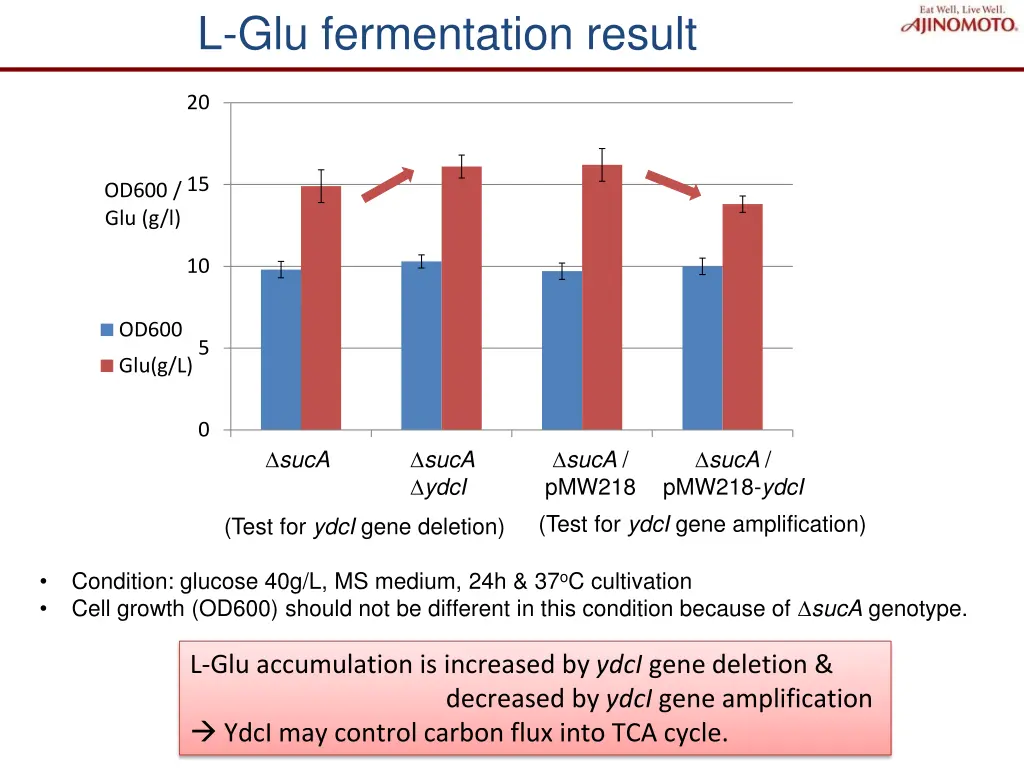 l glu fermentation result