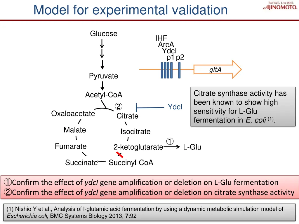 model for experimental validation