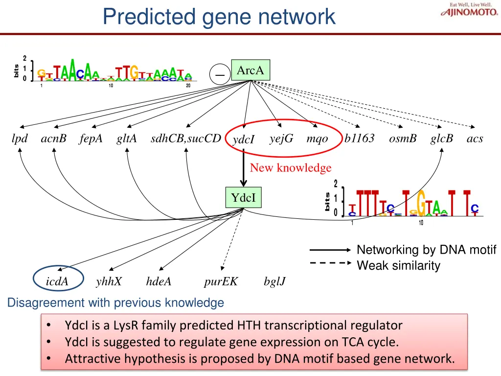 predicted gene network