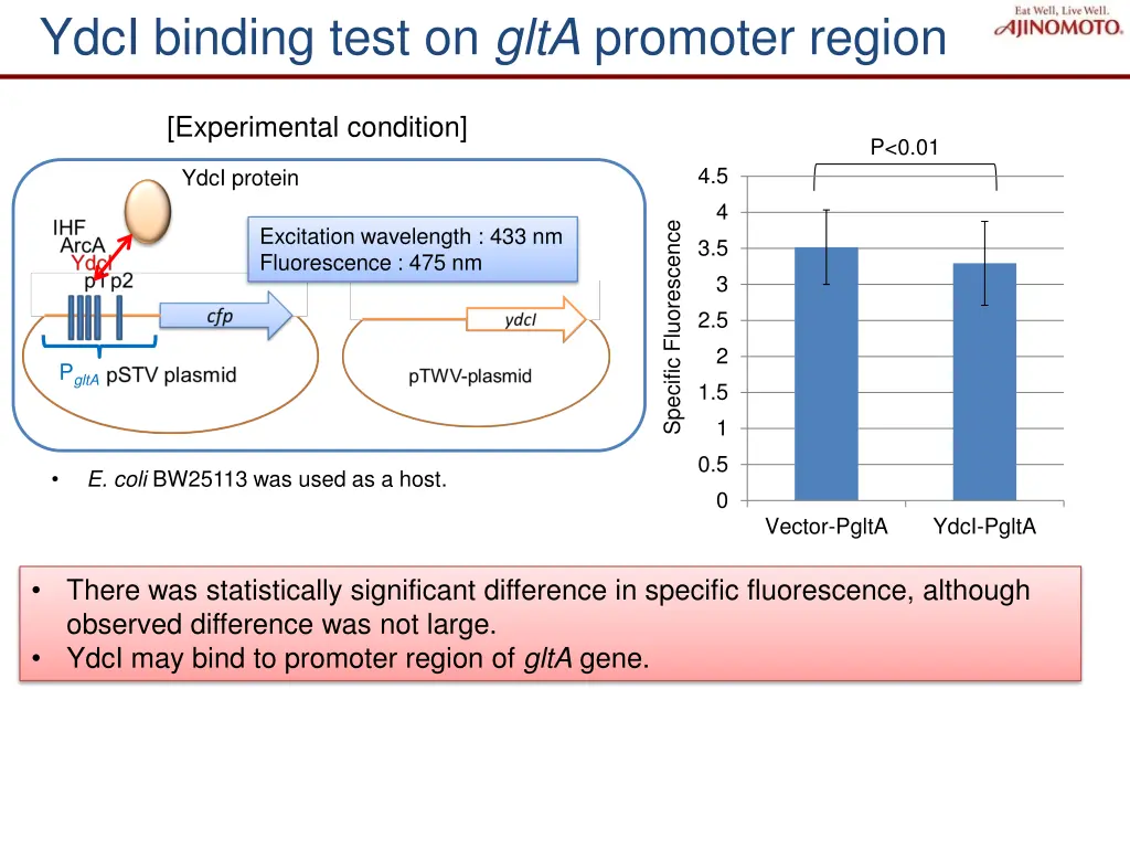 ydci binding test on glta promoter region