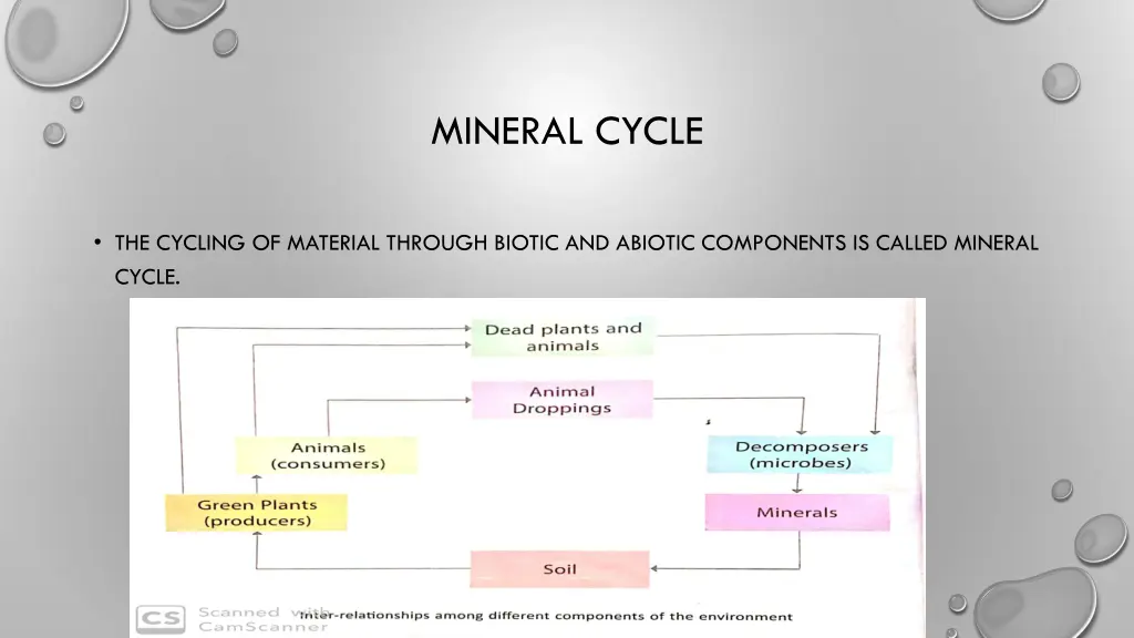 mineral cycle