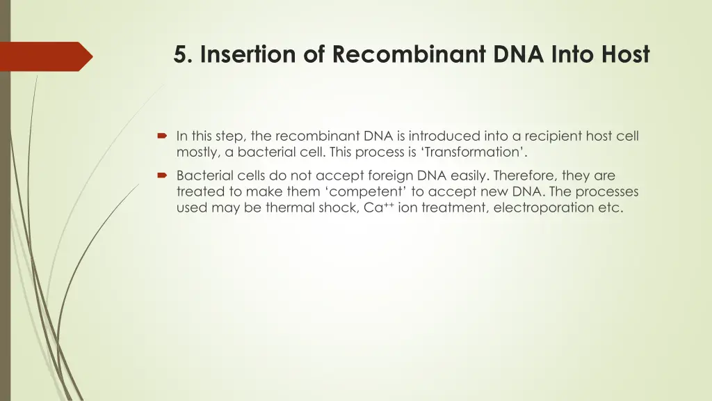 5 insertion of recombinant dna into host