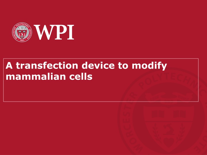 a transfection device to modify mammalian cells