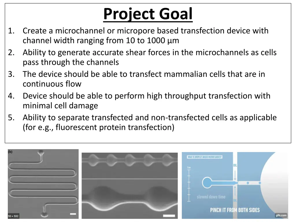 project goal