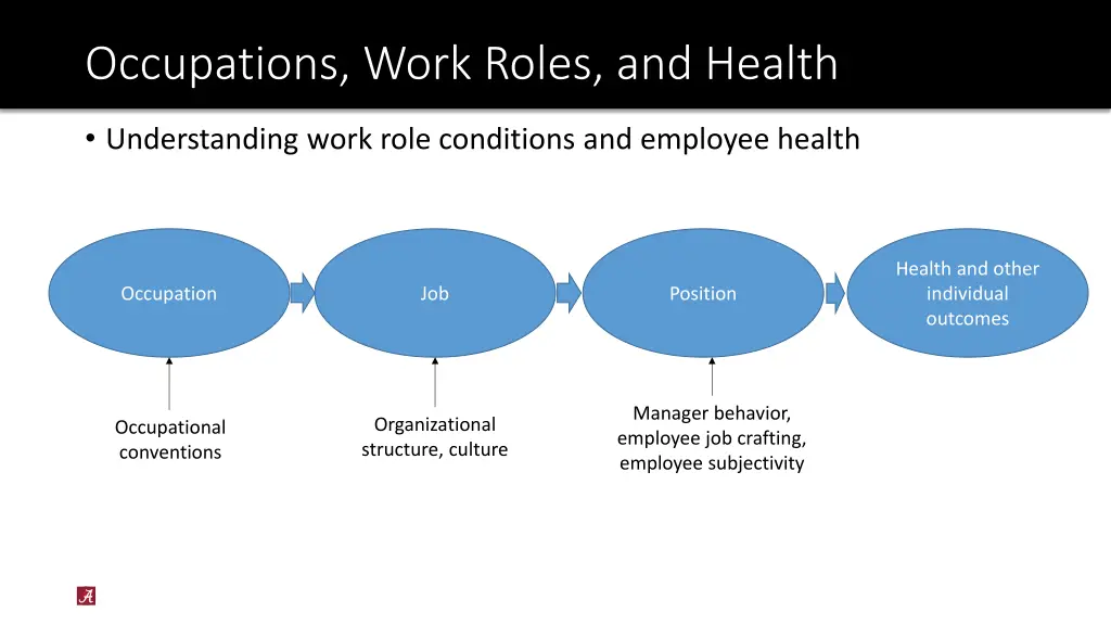 occupations work roles and health