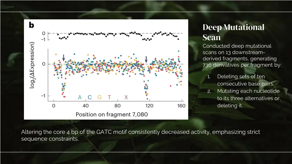 deep mutational scan conducted deep mutational
