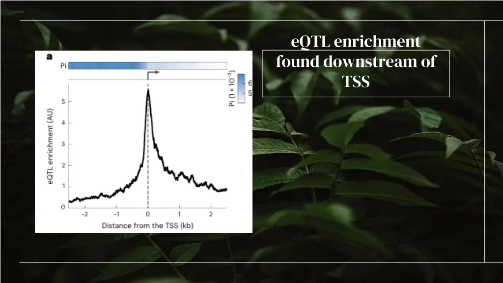 eqtl enrichment found downstream of tss