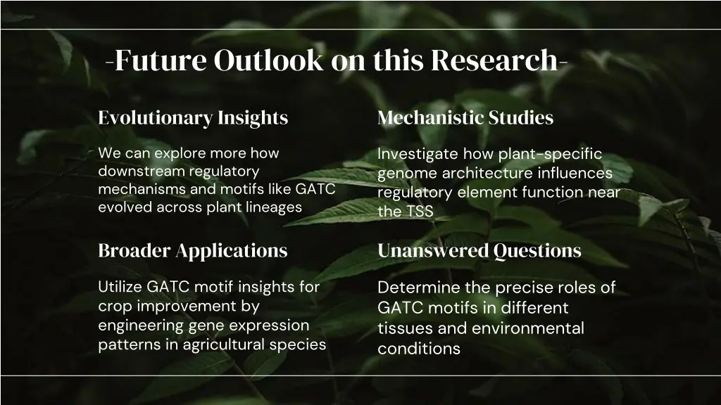 future outlook on this research