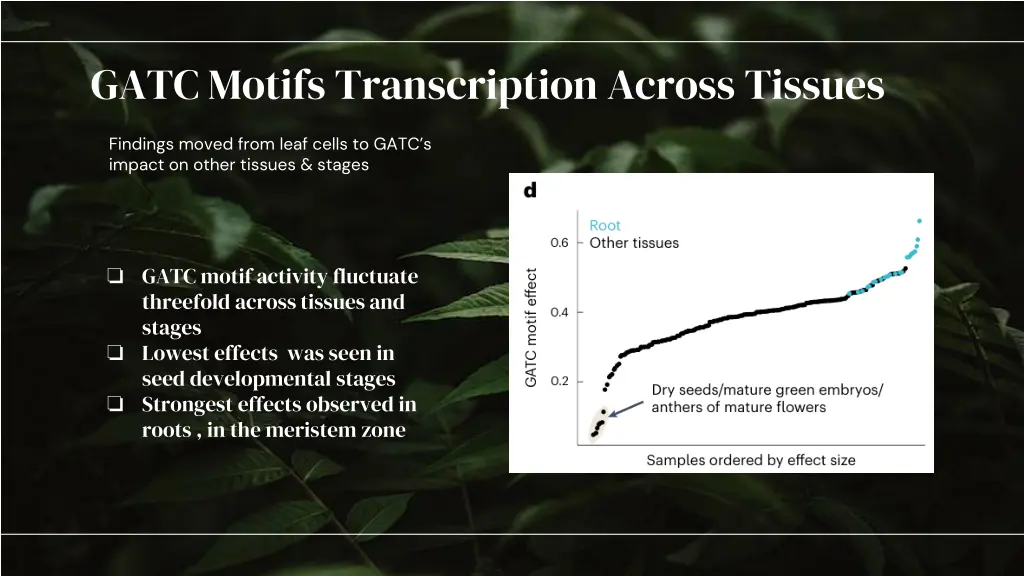 gatc motifs transcription across tissues