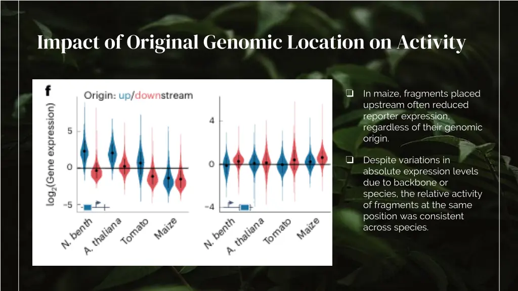 impact of original genomic location on activity