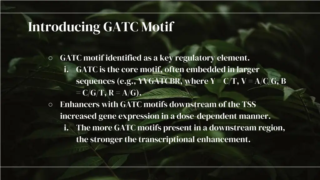 introducing gatc motif