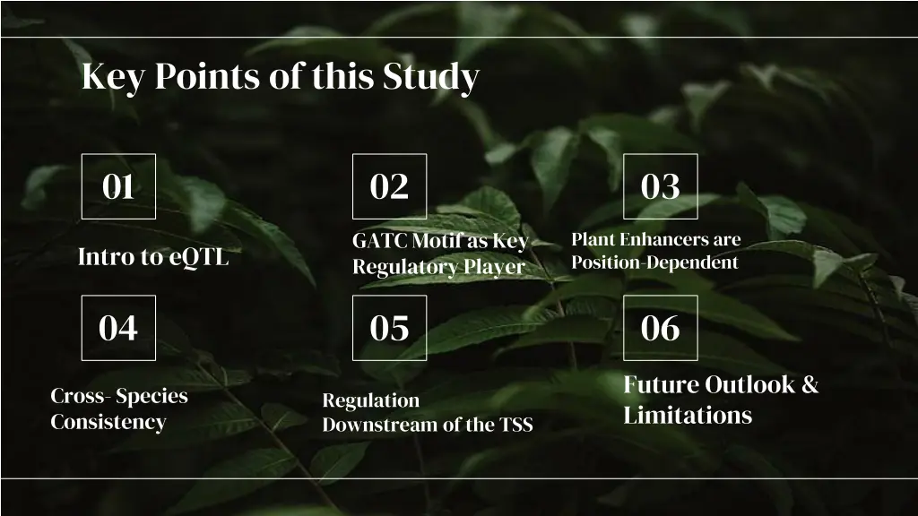 key points of this study