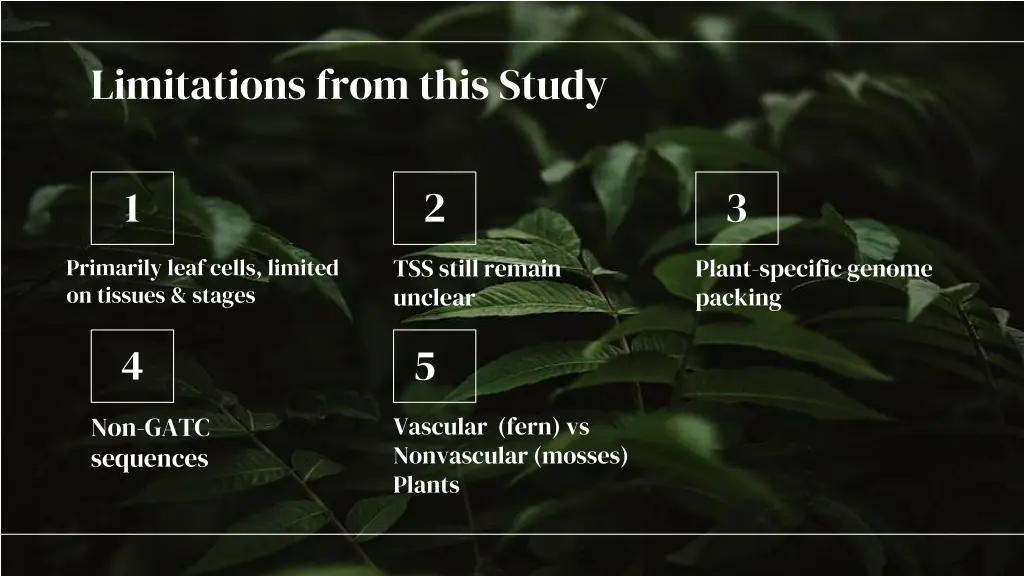 limitations from this study
