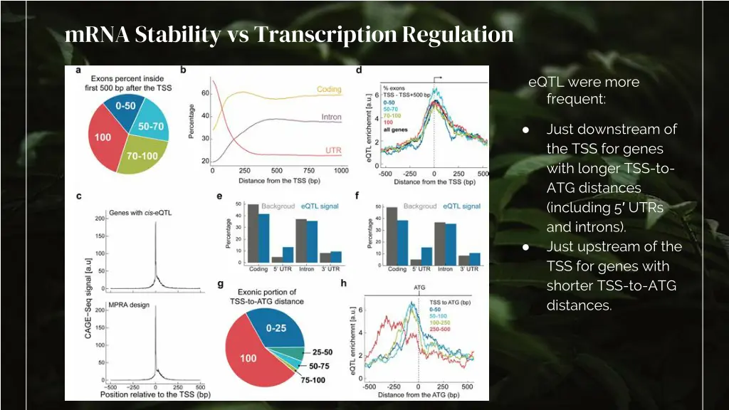 mrna stability vs transcription regulation 1