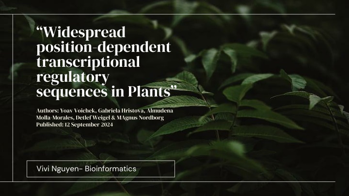 widespread position dependent transcriptional