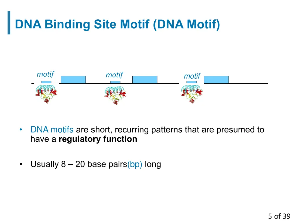 dna binding site motif dna motif